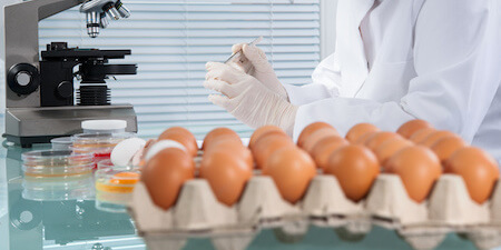 examining eggs like picking a jury