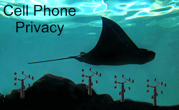 Blue stingray over cell-phone antennas